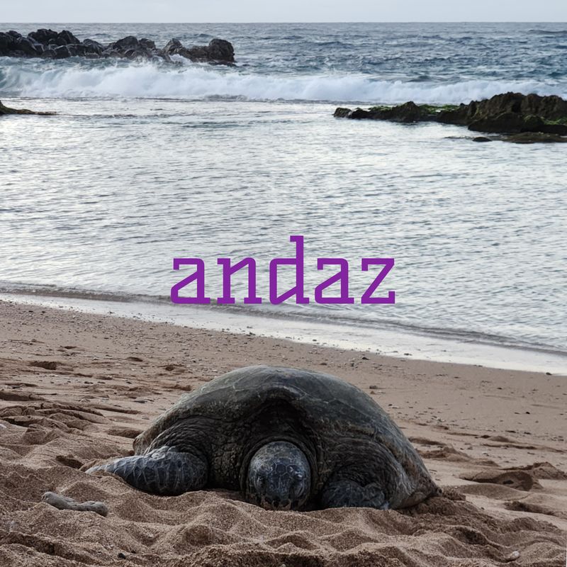 Cover art for andaz