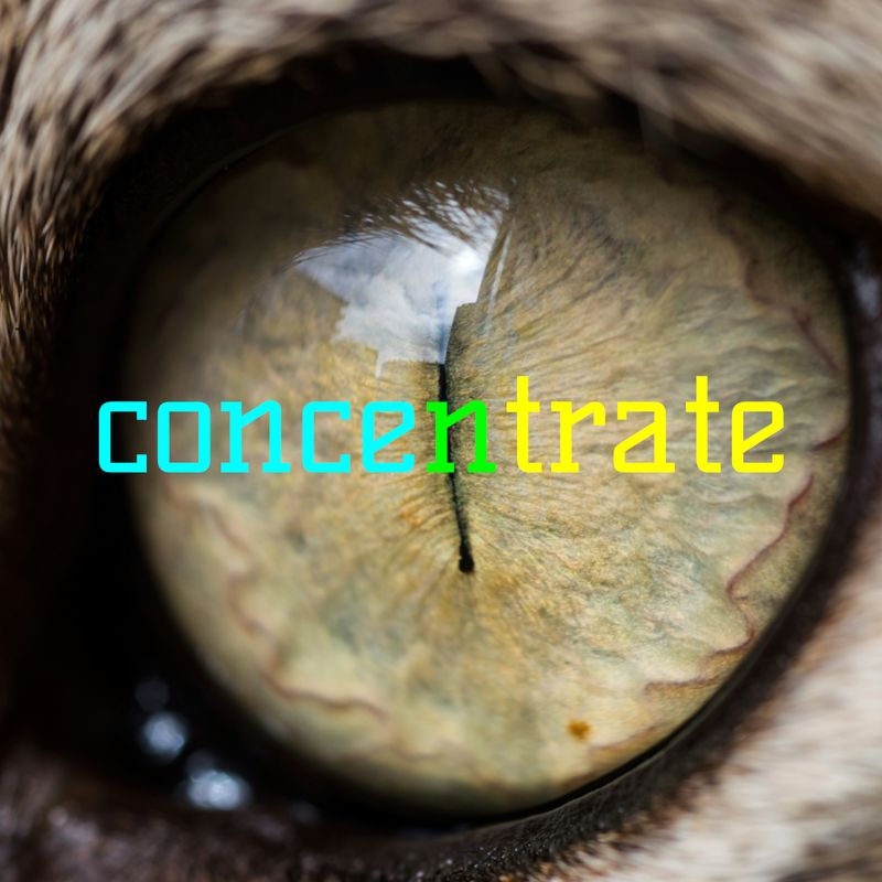 Cover art for concentrate