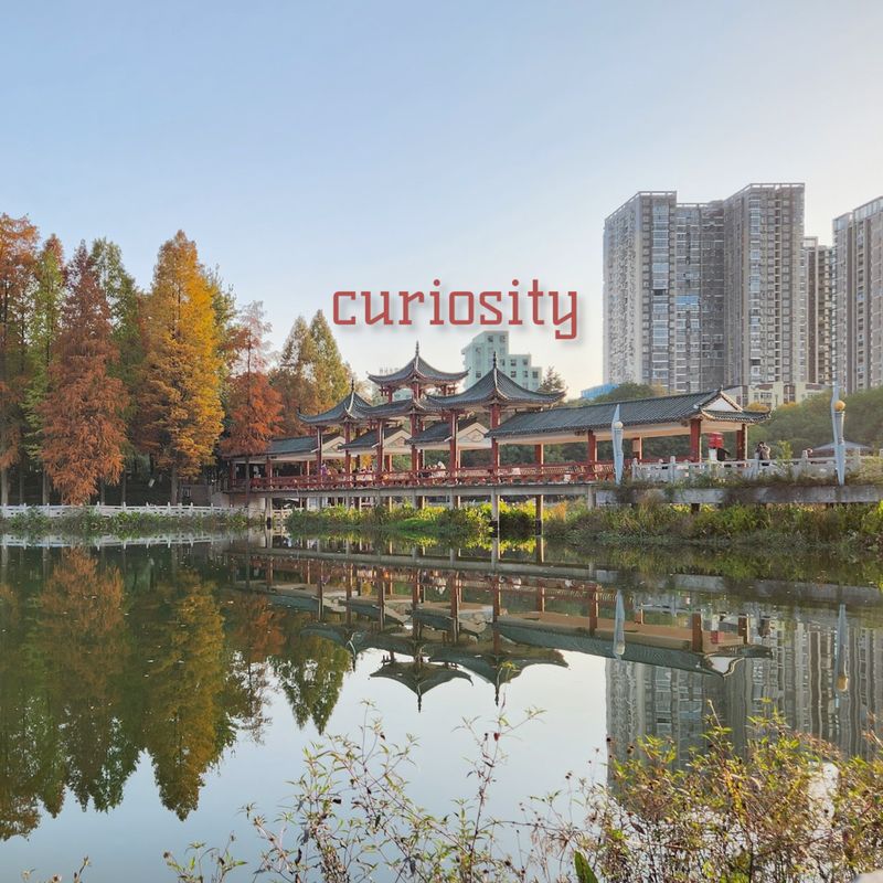Cover art for curiosity
