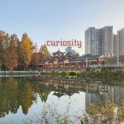 Cover art for curiosity