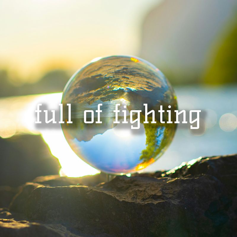 Cover art for full of fighting