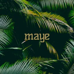 Cover art for maye