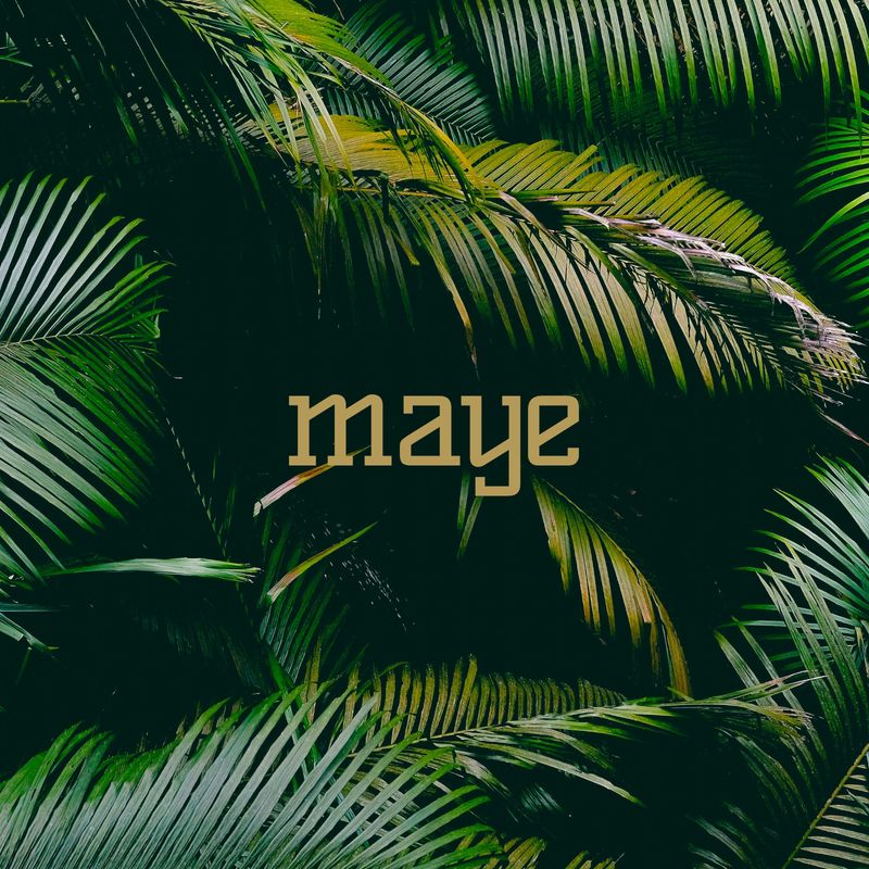 Cover art for maye