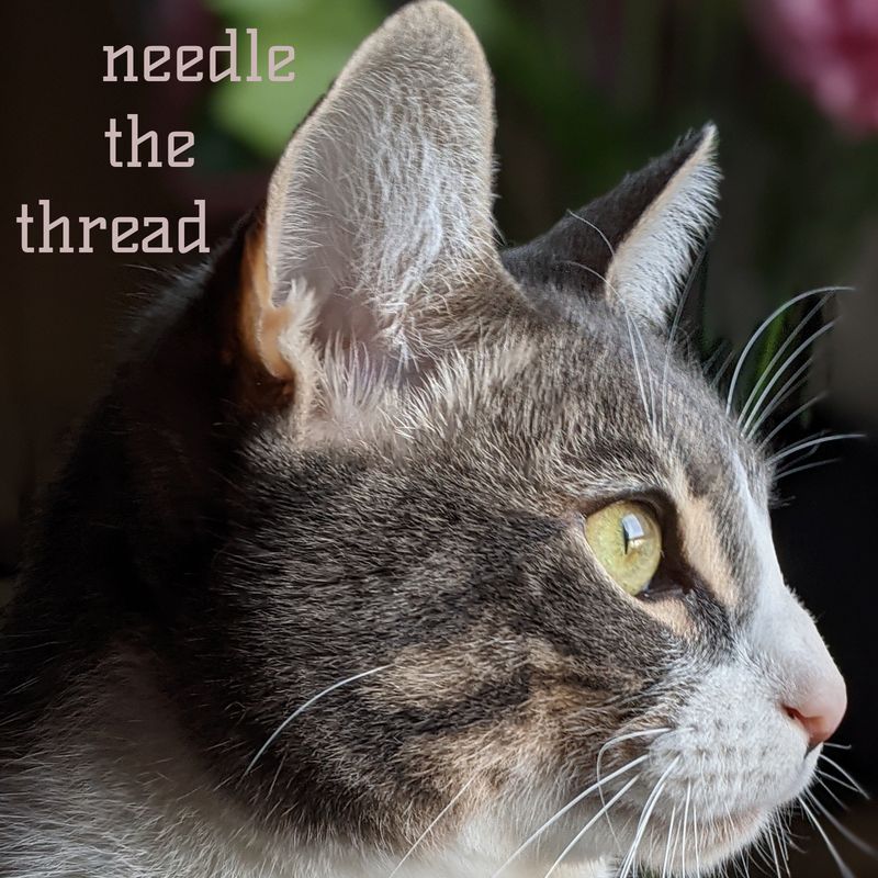 Cover art for needle the thread