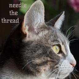 Cover art for needle the thread
