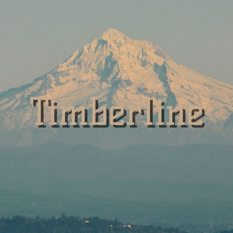 Cover art for timberline