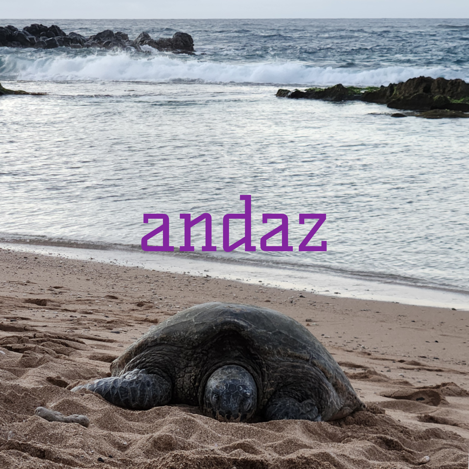 Cover art for andaz