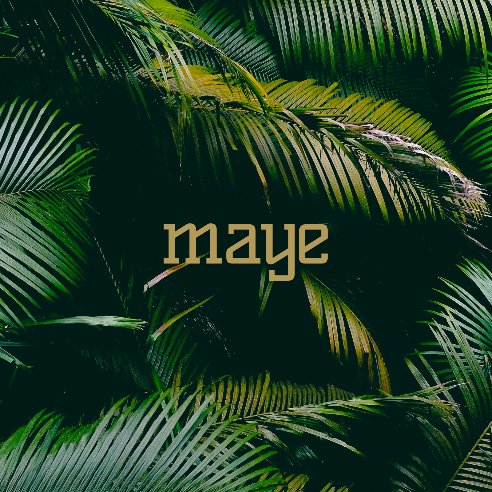 Cover art for maye